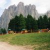 Arrivo Ciampedie